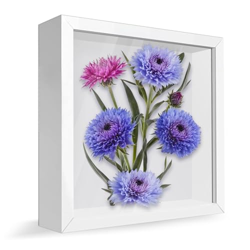 YJSDDNTY Marco de Fotos 3D Profundo para Rellenar, 22 x 22 cm, 3 cm de Profundidad, para Suvenirs, Objetos, Collage, Ramo de Novia, Colgante de Pared, Color Blanco