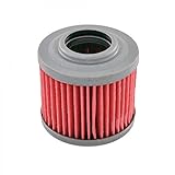 Filtro de Aceite Filtro de Aceite Nypso para Moto KTM 500 GS 1982-1984 Nuevo