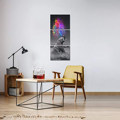 Iknow Foto 3 Pieces Elephant Wall Decor Colorful Elephant Paintings For Living Room Office Bedroom Elephant Artwork Wall Art Decorations For Bathrooms Contemporary Wall Art Ready To Hang #TOP4