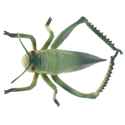 Angoily Realistisches Großes Grillen Insektenmodell aus Kunststoff Detailgetreues Outdoor Gartenspielzeug für Vielseitig Einsetzbar als Prank Toy Dekoration und Lernspielzeug