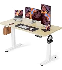 Amazon | ErGear 電動昇降式デスク ロータイプ 48-72cm高さ調節