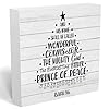 Funny christmas sign christmas tree decor christmas decorations indoor winter christmas desk accessories decorations for table home shelf office gifts for women 5 x 5 inch  urban country home decor