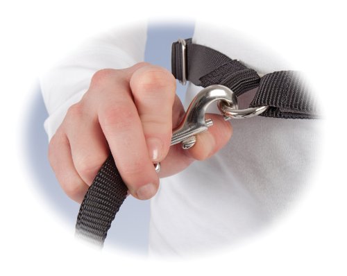 Petsafe Pet Hands Free Leash, Black #TOP2