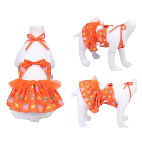 Image of CuteBone One Piece Dog Bikini Swimsuit Dress - Puppy Bathing Suit Costume for Small Dogs - Comfortable & Stylish Pet Clothes for Summer Pool, Beach & Play LTDB05XXS