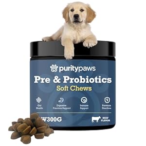 Ultimate Probiotics for Dogs – Gut Health & Calming Tablets, Yeast Infection & Diarrhea Treatment, Kolin & Fibre, Pre and Probiotic Supplements.