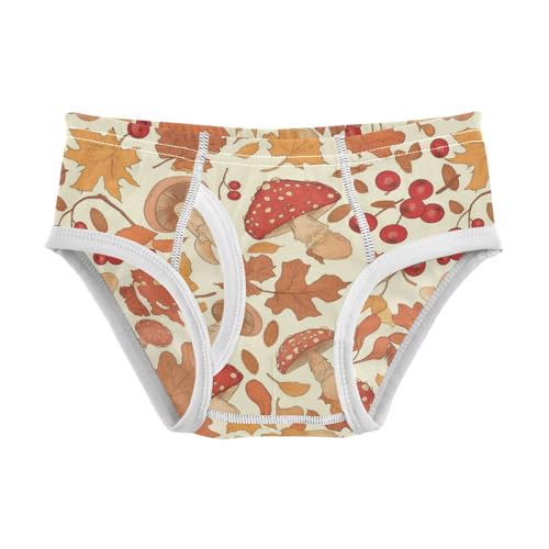 Wusikd Leaves Berries Boys' Underwear Cotton Mushrooms Boys Briefs Soft Toddler Underwear 2T