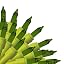 Apple Green, Apple Green Wire (50 Lt)