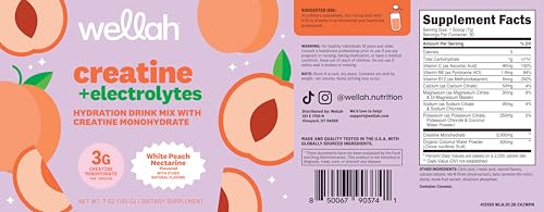 Image of Wellah Creatine + Electrolytes Powder (White Peach Nectarine) 30 Servings - Hydration Drink Mix with 3g of Creatine Monohydrate