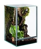 Glas Terrarium 15x15x20 Glas Terrarium Glasterrarium 15x15x20 15 20 Falltür