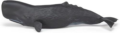 Miniatura 4 de Papo - Figura pintada a mano - Vida marina - Figura de ballena de esperma 56036 - Coleccionable - para niños - Adecuado para niños y niñas - a