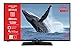 Produktbild JVC LT-43VF5155 43 Zoll Fernseher/Smart TV (Full HD, HDR, LED, Triple-Tuner, Bluetooth, WLAN, Prime Video, Netflix) - Inkl. 6 Monate HD+ [2022]