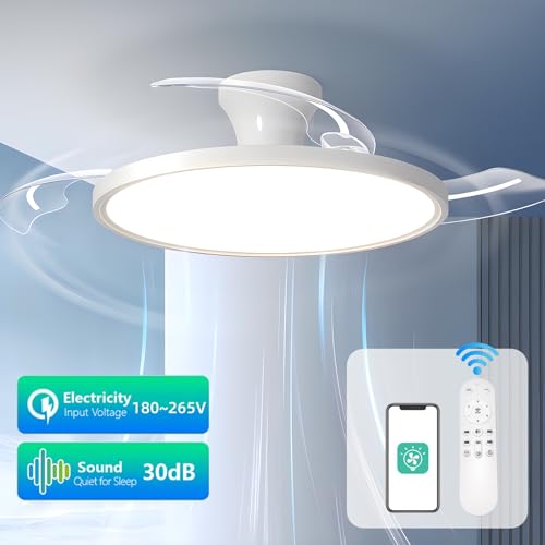 Ventilateur de plafond LED télécommande plafonnier réversible et discret