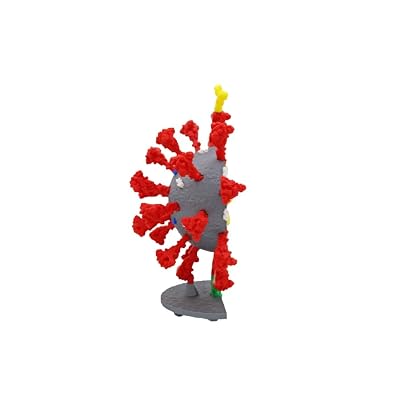 Coronavirus Models (9 Gray/Red)