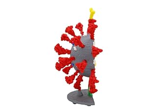 Coronavirus Models (9 Gray/Red)