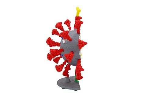 Coronavirus Models (9 Gray/Red)