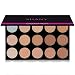 SHANY Masterpiece 15 Color Foundation, Concealer, Camouflage Palette/Refill -"TONED"