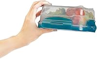 Amazon Basics Gefrierbehälter im Set, mit Deckel, luftdicht, auslaufsicher, stapelbar, für Kühlschrank/Gefriertruhe, BPA-frei, Kunststoff, mikrowellen- und spülmaschinenfest, 3 x 0.6 l, hellblau – Ansicht 5