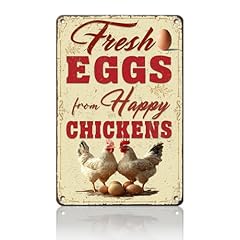 Chicken Fresh Eggs