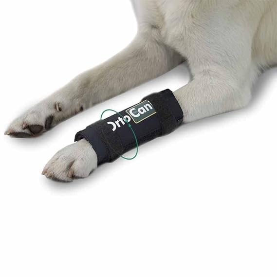 Ortocanis Carpal Brace for Dogs with Carpal hyperextension, Arthritis