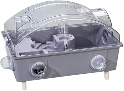 AZIEBAY nX^[P[WAvX`bNADIYnX^[nEXAgݗčς݁AʋC jOzC[AEH[^[{gArpbhA`[utAO[AA^CvAɓKĂ܂B