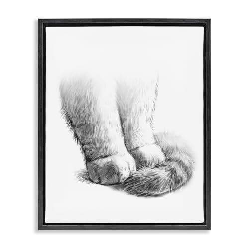 Stupell Industries Fluffy Cat Paws Tail Curled Monochrome Drawing, Design by Ziwei Li, Black Floater Framed, 24 x 30