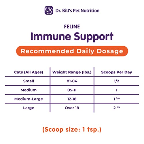 Feline Optimum Skin & Coat + Immune Support | Cat Supplement Bundle #TOP6