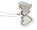 PILL THING Amour Heart Pill Necklace- Medication Heart Necklace-Stainless Steel Necklace with Strong Magnetic Closure-Keep your Medication Safe in Silver Heart Locket, 26 Inch Chain (Silver)