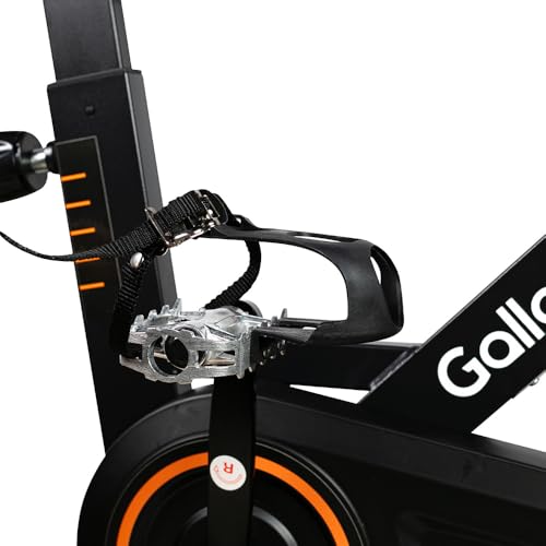 Bicicleta Ergométrica Spinning Gallant Trainer Roda de 6kg (gsb06hbta-pt)