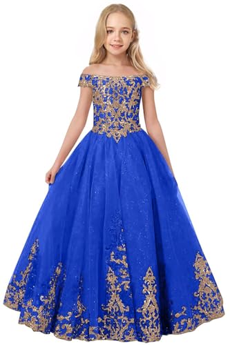 Off Shoulder Flower Girl Dress Lace Appliques Pageant Dresses Tulle First Communion Kids Birthday Party Ball Gown4