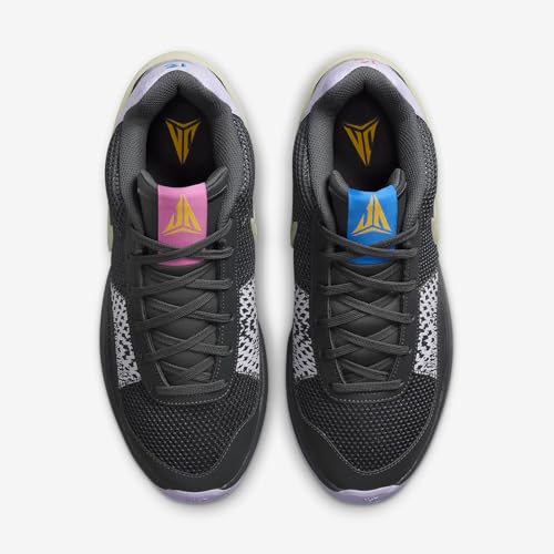 Nike Ja 1 Basketball Shoes (FQ4796-001, Iron Grey/Lilac Bloom/Light Photo Blue/Multi-Color) Size 9.54