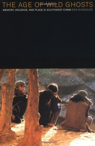 The Age of Wild Ghosts: Memory, Violence, and Place in Southwest China