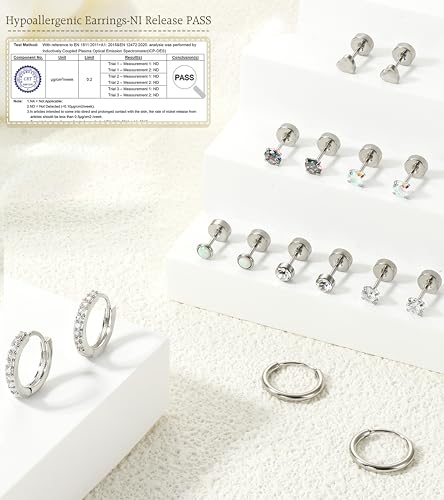 image for LOLIAS Hypoallergenic Surgical Steel Earrings for Sensitive Ears-Flat 