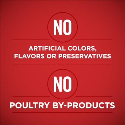 Image of Purina ONE Wet Dog Food Variety Pack, Tender Cuts, (12) 13 oz Cans | Tender Cuts in Gravy, Chicken & Rice and Beef & Barley Entrees, natural dog food with added vitamins, minerals, and nutrients