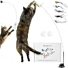 Whiskertons Interactive Bird Simulation Cat Toy Set, Interactive Cat Toys for Indoor Cats, Cat Feather Toy, Self-Holding Suction Base, 5 Replacement Birds, Feathers & Bells, Realistic Bird Impression