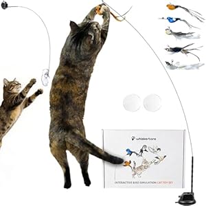 Whiskertons Interactive Bird Simulation Cat Toy Set, Interactive Cat Toys for Indoor Cats, Cat Feather Toy, Self-Holding Suction Base, 5 Replacement Birds, Feathers & Bells, Realistic Bird Impression