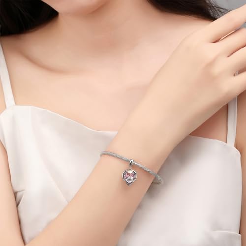 Birthstone Charms for Women Bracelets Birthday Bead Charms for Pandora Bracelets and Necklace Jewelry Gifts for Women3