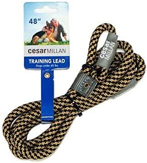Cesar Millan Slip Lead Leash™