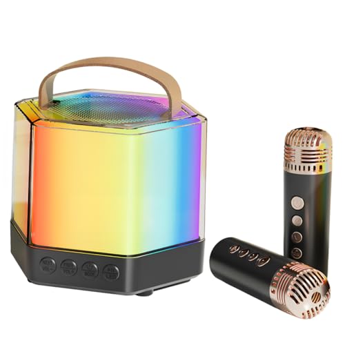 Machine de karaoké portable Veemoon Q7 avec double microphone sans fil enceinte noire
