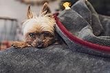 TrendPet Ruby Kuscheldecke und Trocknungsdecke für Hunde und Katzen (110x70cm)