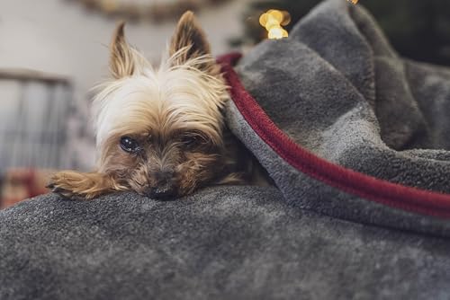 TrendPet Ruby Kuscheldecke und Trocknungsdecke für Hunde und Katzen (90x65cm)