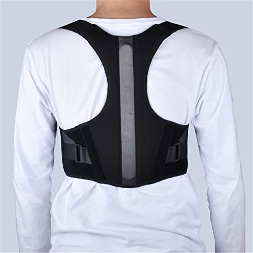 Correction du dos pour posture assise prolongée en révision - 6