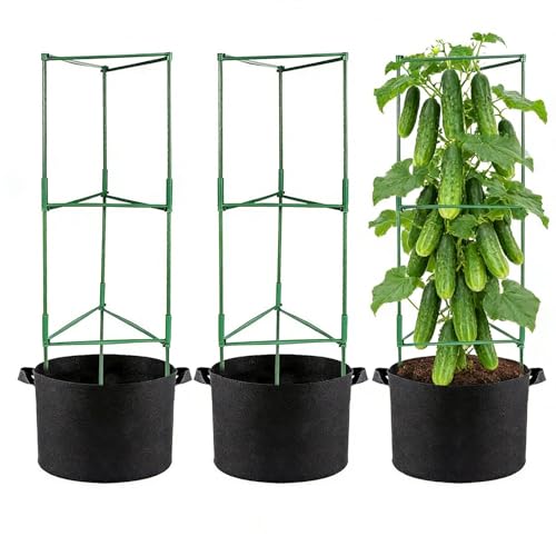 Support pour grimpantes de jardin et potager de balcon urbain - 2