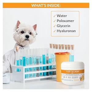 I-LID ’N LASH Vet Dog Eye Wipes - Best Tear Stain Remover for Dogs (60 Wipes) | Prevents Puppy Tear Stains with Hyaluronan | Cat Eye Wipes for Discharge - No Antibiotics or Harmful Chemicals I-LID ’N LASH Vet Dog Eye Wipes – Best Tear Stain Remover for Dogs (60 Wipes) | Prevents Puppy Tear Stains with Hyaluronan | Cat Eye Wipes for Discharge – No Antibiotics or Harmful Chemicals