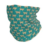 ❤ MULTIFONCTION : Peut être utilisé comme foulard, écharpe, masque, cache-cou, etc. Ce couvre-chef multifonction est parfait pour le cyclisme, la course à pied, le ski, la pêche, la moto, l'alpinisme et autres sports de plein air.