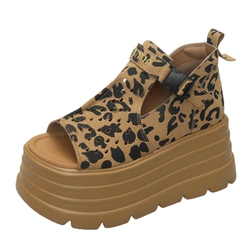 [`GOC] u[cT_ EFbW\[  O bV T_ 8cmq[ Xgbv fB[X T}[u[c nCq[ qE I[vgD EGbW\[ 24.5 cm ₷  ItBX V[g C JWA