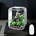 biOrb Life 15 Acrylic 4-Gallon Aquarium with Multi-Color Remote-Controlled LED Lights Modern Compact Tank for Tabletop or Desktop Display, White