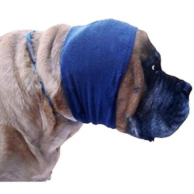 bandages for dogs ears