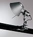Produktbild Artemide Tolomeo Pinzette, Aluminium