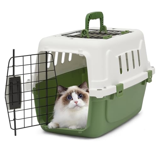 Athena Collection 18' Hard-Sided Travel Pet Carrier for Small Dogs and Cats, Plastic Dog Carriers with 2-Door Top & Front Load, Ventilation, Security Lock, Cat Dog Carrier for Pet, up to 10lbs, Green