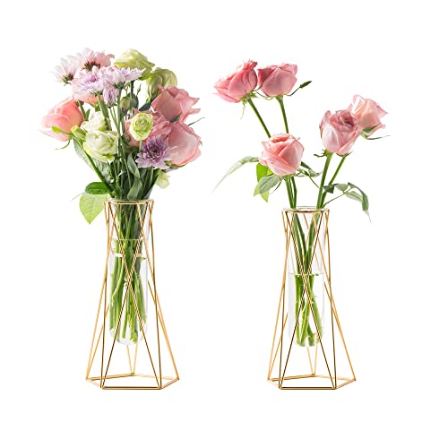 Grensuk 2 Pcs Gold Geometric Vase,Air Plant Stand,Hydroponic Plant Flower Vase Glass Test Tube,Modern Vases For Flowers As Wedding Home Office Centerpiece,Vase Set Of 2 (2Pc,8.7Inch) #TOP2